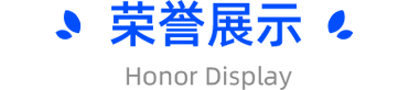 企业荣誉